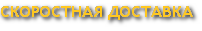 СКОРОСТНАЯ ДОСТАВКА